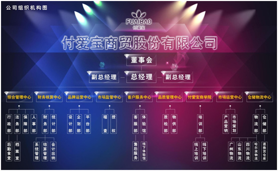 付爱宝是正规公司吗？