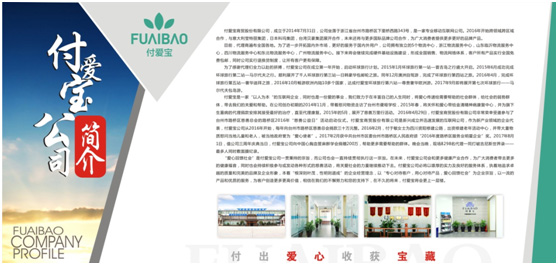 付爱宝是正规公司吗？